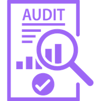 Icône audit et consulting